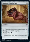Product image for Diamant du charbon