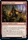 Product image for Maraudeurs côtiers