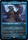 Product image for Éligeth, augure de la croisée