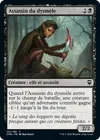 Product image for Assassin du dysmèle