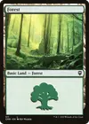 Product image for Forest