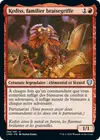 Product image for Kediss, familier braisegriffe