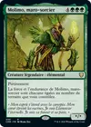 Product image for Molimo, maro-sorcier