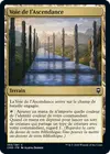 Product image for Voie de l'Ascendance