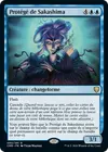Product image for Protégé de Sakashima