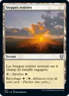 Product image for Steppes retirées