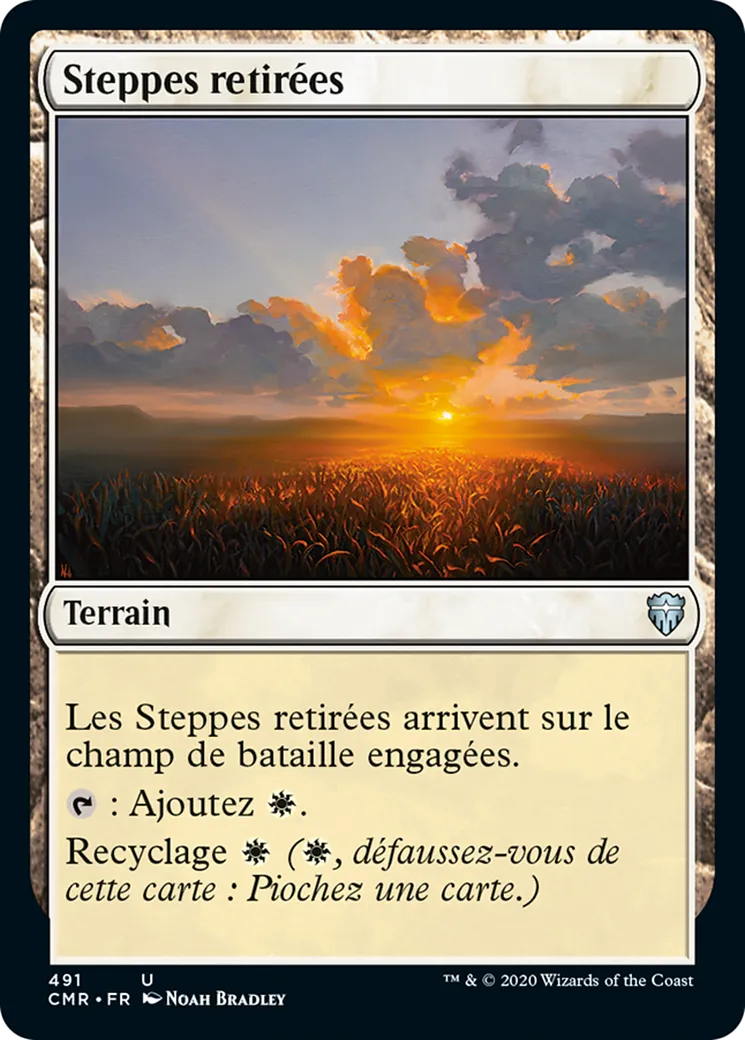 Steppes retirées — Commander Legends — Magic: The Gathering