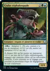 Product image for Crabe céphalosquale