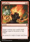 Product image for Soul's Fire