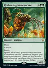 Product image for Recluse à gomme sucrée