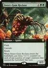 Product image for Sweet-Gum Recluse
