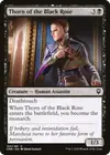 Product image for Thorn of the Black Rose