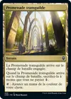 Product image for Promenade transguilde