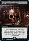 Product image for Précepteur vampirique