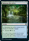 Product image for Ruisseau des sylves