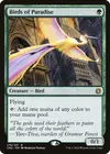 Product image for Birds of Paradise