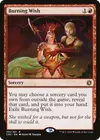 Product image for Burning Wish