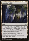 Product image for Evolving Wilds