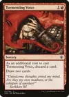 Product image for Tormenting Voice