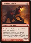 Product image for Chartooth Cougar