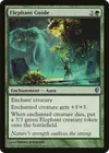 Product image for Elephant Guide