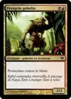 Product image for Pérégrin gobelin