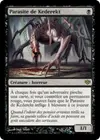 Product image for Parasite de Kederekt