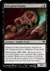 Product image for Rats pourrissants
