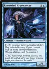 Product image for Rimewind Cryomancer