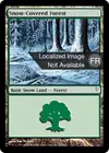 Product image for Forêt enneigée
