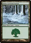 Product image for Snow-Covered Forest