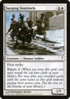 Product image for Surging Sentinels