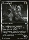 Product image for Esprit fugitif