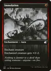 Product image for Immolation