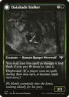 Product image for Oakshade Stalker // Moonlit Ambusher
