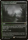 Product image for Overgrown Farmland