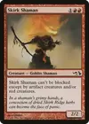 Product image for Shamane skirkien