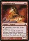 Product image for Chartooth Cougar