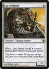 Product image for Loyal Sentry