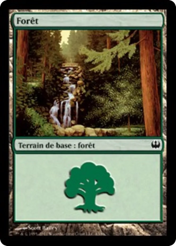 Forêt — Duel Decks: Knights vs. Dragons — Magic: The Gathering