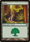 Product image for Forest