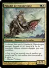 Product image for Paladin de Nœudevigne