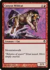 Product image for Canyon Wildcat