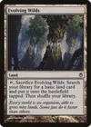 Product image for Evolving Wilds