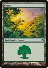 Product image for Forest