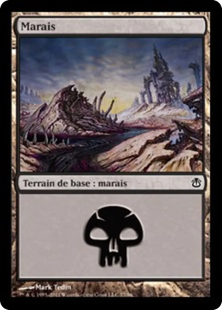 Marais from Duel Decks: Ajani vs. Nicol Bolas - Magic: The Gathering