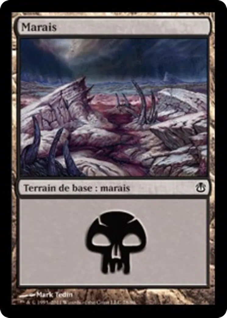 Marais from Duel Decks: Ajani vs. Nicol Bolas - Magic: The Gathering