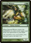 Product image for Eternal Witness