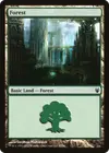 Product image for Forest