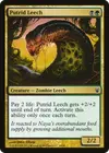 Product image for Putrid Leech
